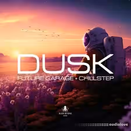 Black Octopus Sound Dusk Future Garage and Chillstep [WAV, Synth Presets] - Sample Pack Artwork