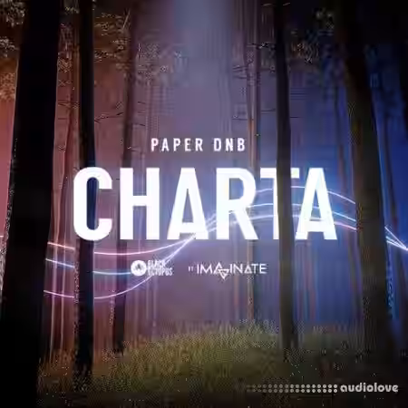 Black Octopus Sound Imaginate Element Series Charta Paper DnB [WAV, Synth Presets] - Sample Pack Artwork