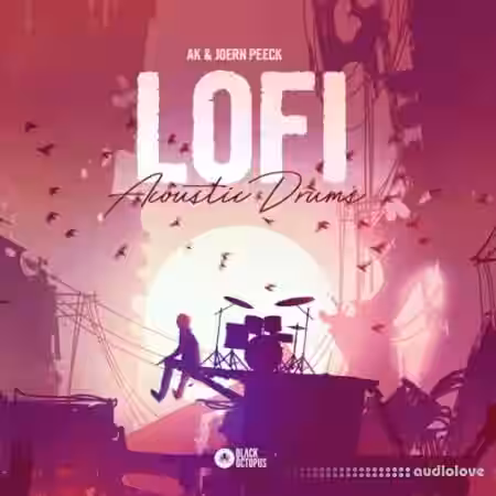 Black Octopus Sound Lofi Acoustic Drums [WAV] - Sample Pack Artwork