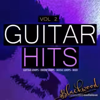 Blackwood Samples Guitar Hits Vol 2 [WAV, MiDi]