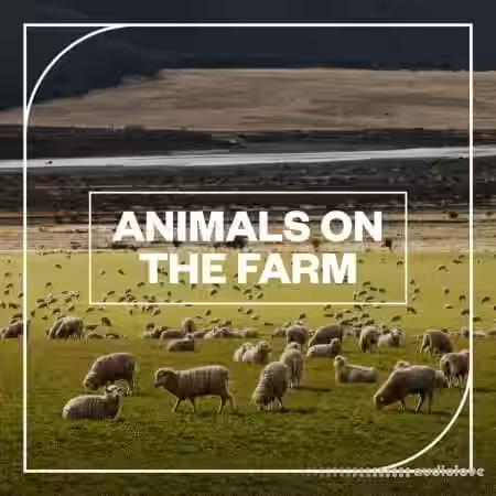Blastwave FX Animals on the Farm [WAV] - Sample Pack Artwork