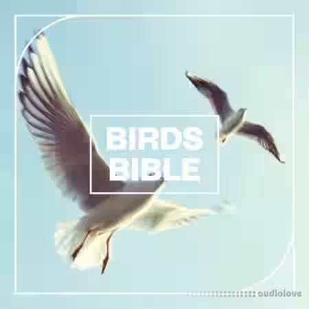 Blastwave FX Birds Bible [WAV] - Sample Pack Artwork
