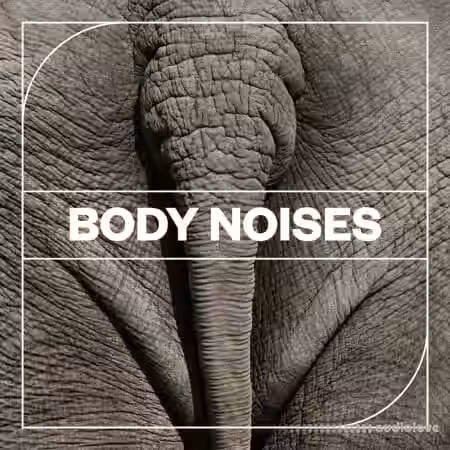 Blastwave FX Body Noises [WAV] - Sample Pack Artwork