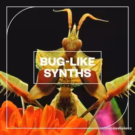 Blastwave FX Bug-Like Synths [WAV] - Sample Pack Artwork