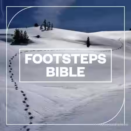 Blastwave FX Footsteps Bible [WAV] - Sample Pack Artwork