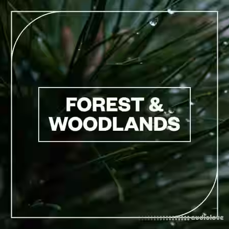 Blastwave FX Forest and Woodlands [WAV] - Sample Pack Artwork