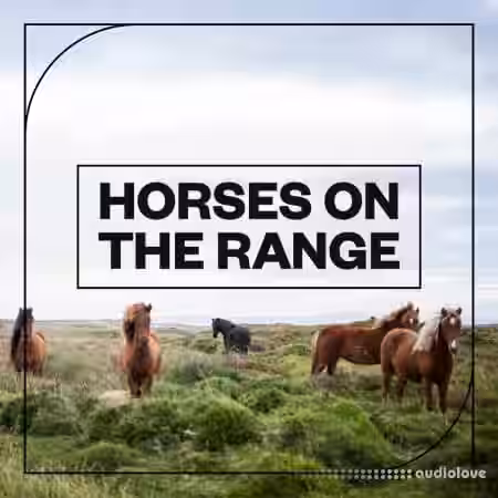 Blastwave FX Horses on the Range [WAV] - Sample Pack Artwork