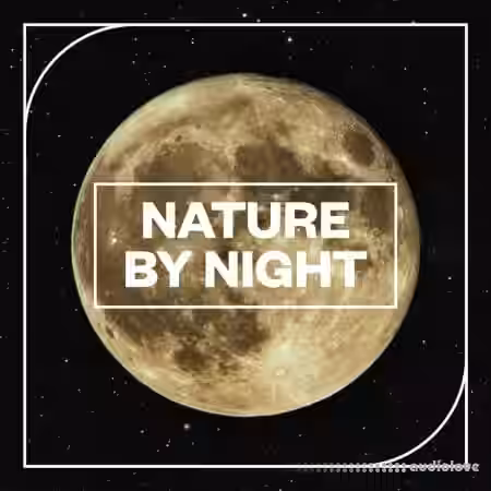 Blastwave FX Nature by NIght [WAV] - Sample Pack Artwork