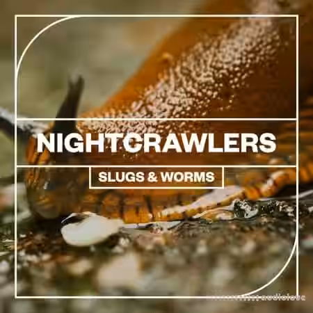 Blastwave FX Nightcrawlers: Slugs and Worms [WAV] - Sample Pack Artwork