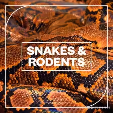 Blastwave FX Snakes and Rodents [WAV] - Sample Pack Artwork