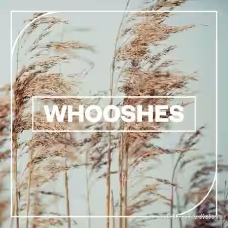 Blastwave FX Wooshes [WAV] - Sample Pack Artwork