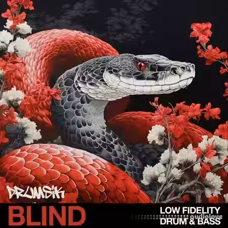 Blind Audio Low Fidelity Drum and Bass [WAV] - Sample Pack Artwork