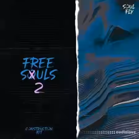 Blissful Audio Free Souls Vol.2 [WAV] - Sample Pack Artwork