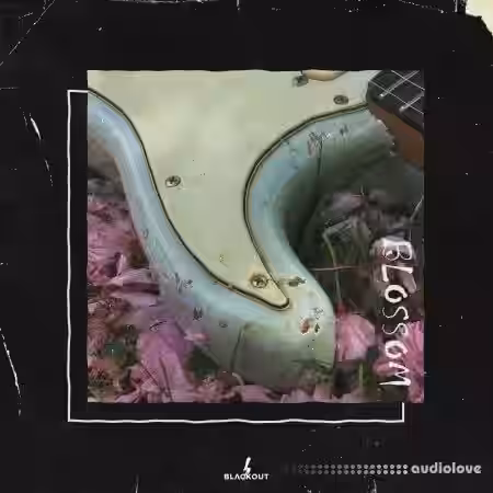 Blvckout Blossom [WAV] - Sample Pack Artwork