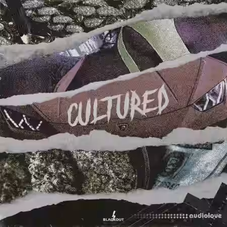 Blvckout Cultured [WAV] - Sample Pack Artwork