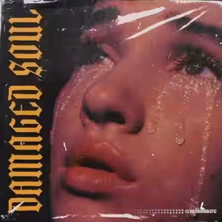 Blvckout Damaged Soul [WAV] - Sample Pack Artwork