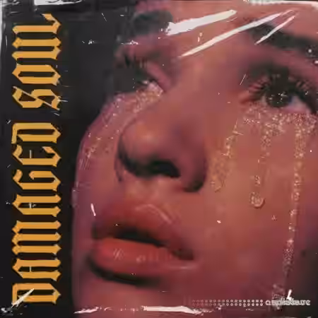 Blvckout Damaged Soul [WAV, MiDi] - Sample Pack Artwork