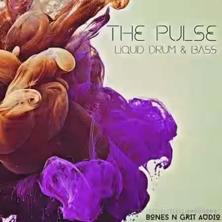 Bones N Grit Audio The Pulse Liquid Drum and Bass [WAV] - Sample Pack Artwork