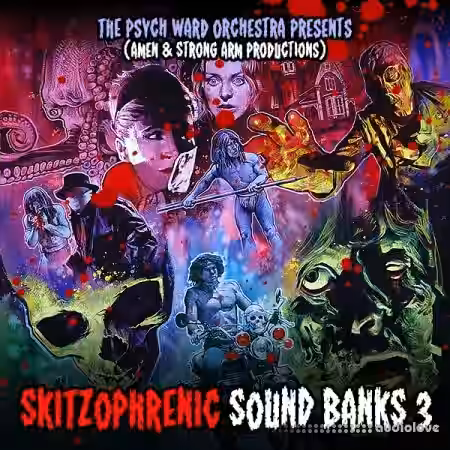 Boom Bap Labs Amen and Strong Arm Productions Skitzophrenic Sound Banks 3 [WAV] - Sample Pack Artwork