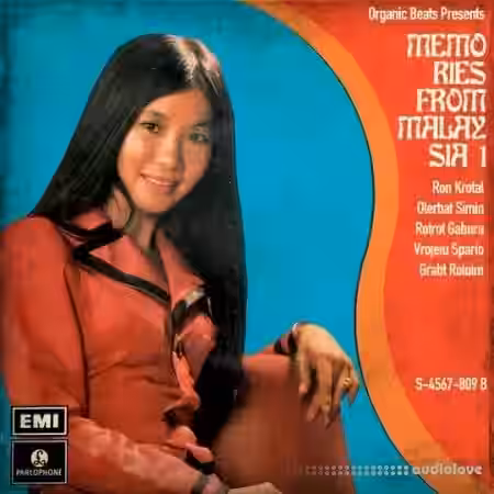 Boom Bap Labs Organic Beats Memories From Malaysia 1 [WAV] - Sample Pack Artwork