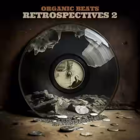 Boom Bap Labs Organic Beats Retrospectives 2 [WAV] - Sample Pack Artwork