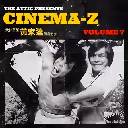 Boom Bap Labs The Attic Cinema Z7 [WAV] - Sample Pack Artwork