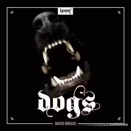 Boom Library Dogs [WAV] - Sample Pack Artwork