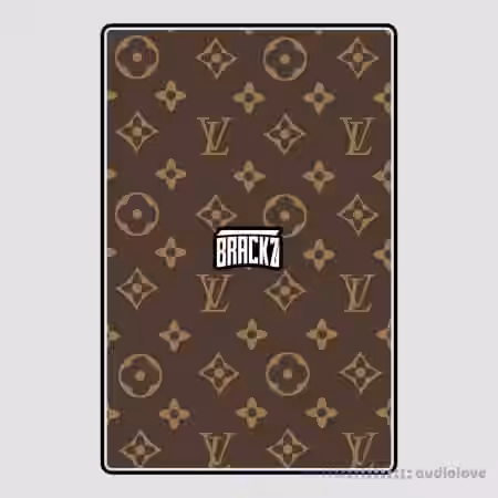 Brackz Drip World (Drum Kit) [WAV, MiDi] - Sample Pack Artwork