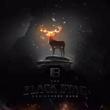Brandon Chapa Black Stag (Omnisphere Bank) [Synth Presets] - Sample Pack Artwork