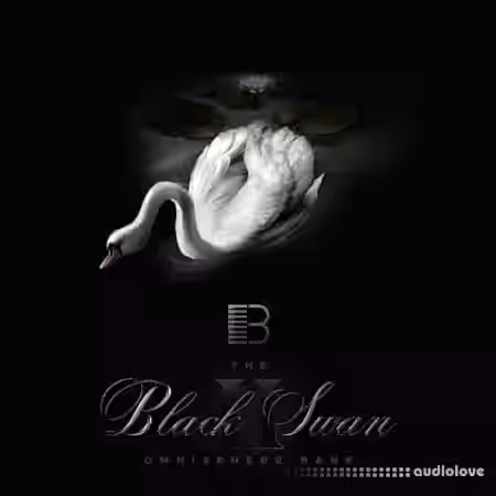Brandon Chapa Black Swan ll [Synth Presets] - Sample Pack Artwork