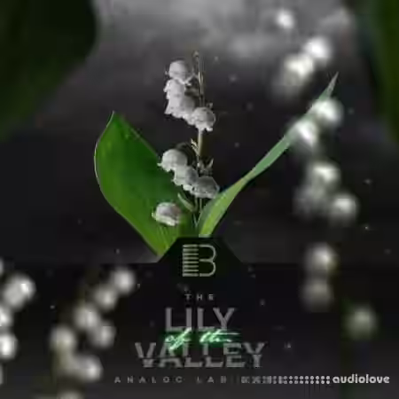 Brandon Chapa Lily Of The Valley (Analog Lab Bank) [Synth Presets] - Sample Pack Artwork