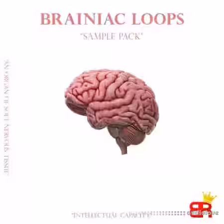 Brown Royal Brainiac Loops [WAV] - Sample Pack Artwork