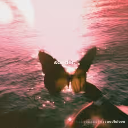 BSIDES Sonder [WAV] - Sample Pack Artwork