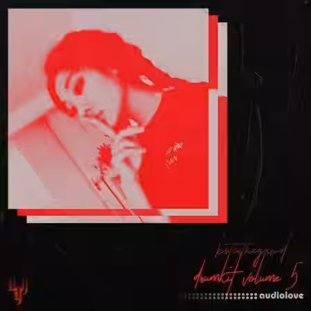 bsterthegawd drumkit Vol.5 [WAV] - Sample Pack Artwork