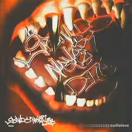 Bsterthegawd WHY NOT KILL? Drumkit [WAV] - Sample Pack Artwork