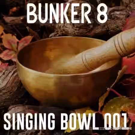 Bunker 8 Digital Labs Bunker 8 Singing Bowl Percussive Loops 001 [WAV] - Sample Pack Artwork