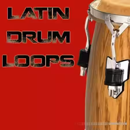 Bunker 8 Digital Labs Latin Drum Loops [WAV, ACiD, AiFF, REX] - Sample Pack Artwork