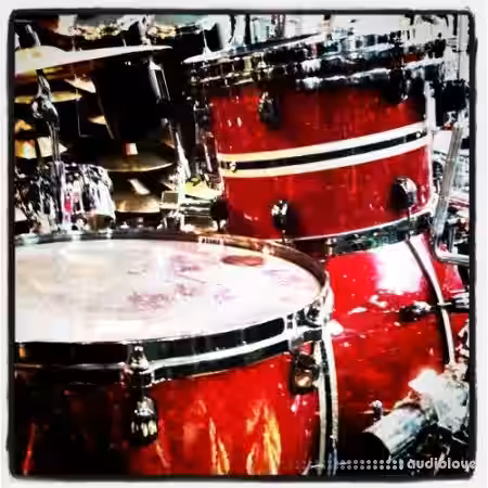 Cage Cafe The Phat Beat Pro Collection [Stylus RMX] - Sample Pack Artwork