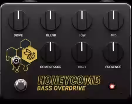 Canvas Audio Honeycomb Bass OD v1.0.0 [WiN] - Sample Pack Artwork