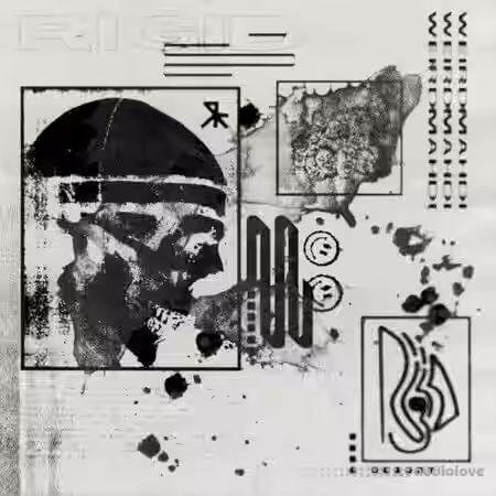 Cash Gang Weird Mahdi Rigid Sample Pack [WAV] - Sample Pack Artwork