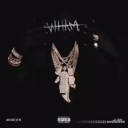 Chrome Kits [3000+] Wham Lil Baby Drum Kit [WAV, MiDi, Synth Presets] - Sample Pack Artwork