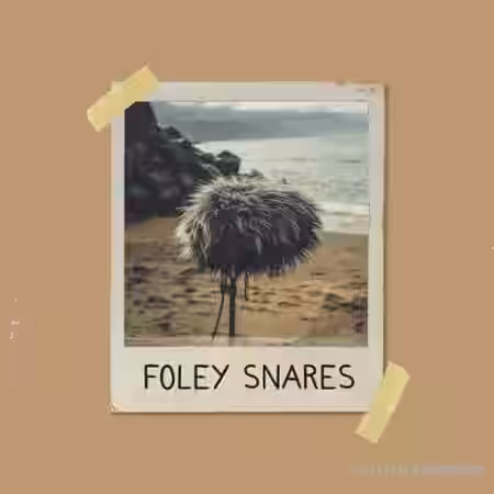 Clark Samples Foley Snares [WAV] - Sample Pack Artwork