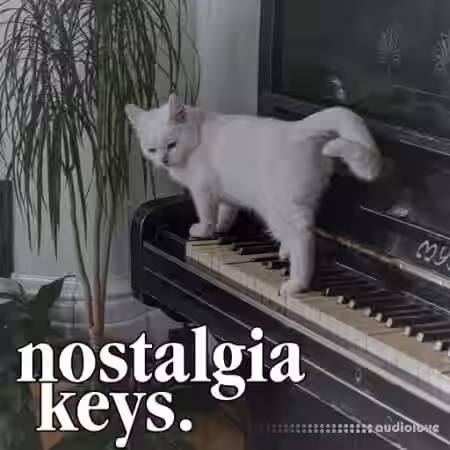 Clark Samples Nostalgia Keys [WAV] - Sample Pack Artwork