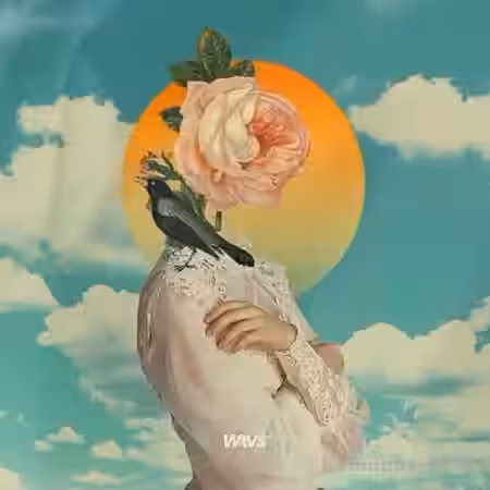 Claro Beats Banger Hits [WAV] - Sample Pack Artwork