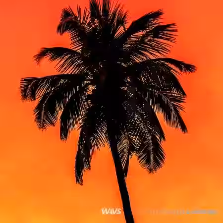 Claro Beats Caliente Vol.7 [WAV] - Sample Pack Artwork