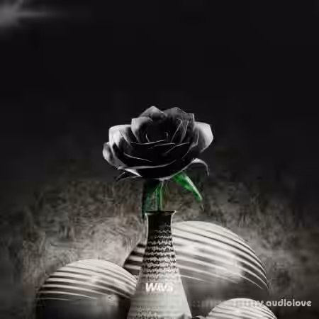 Claro Beats French Vibes Vol.7 [WAV] - Sample Pack Artwork