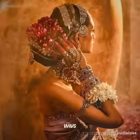 Claro Beats Indian Pop Hit [WAV] - Sample Pack Artwork
