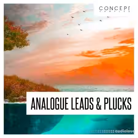 Concept Samples Analogue Leads and Plucks [WAV] - Sample Pack Artwork