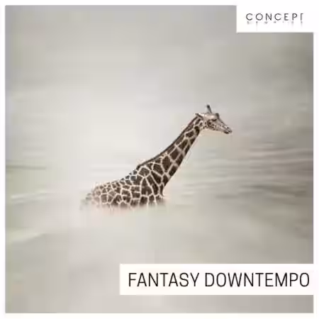 Concept Samples Fantasy Downtempo [WAV] - Sample Pack Artwork