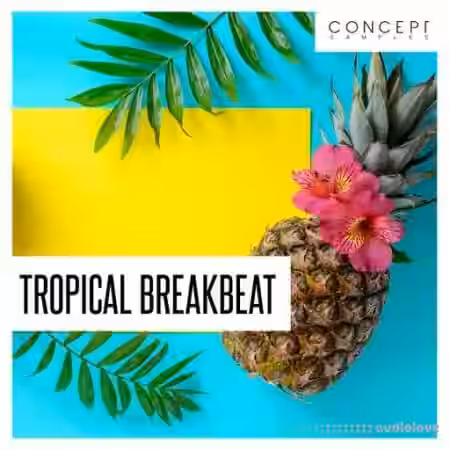 Concept Samples Tropical Breakbeat [WAV] - Sample Pack Artwork